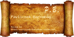 Pavlicsek Barnabás névjegykártya