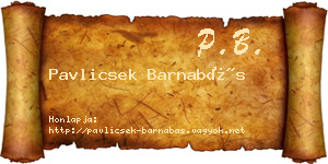 Pavlicsek Barnabás névjegykártya