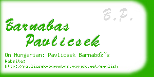 barnabas pavlicsek business card